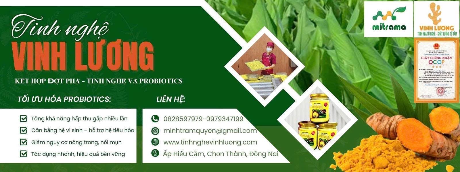 Tinh Nghệ Vinh Lương