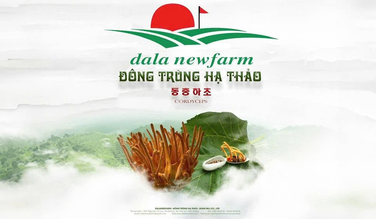 Đông trùng hạ thảo