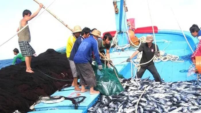 Việt Nam phản đối lệnh cấm đánh bắt cá của Trung Quốc tại Biển Đông 
