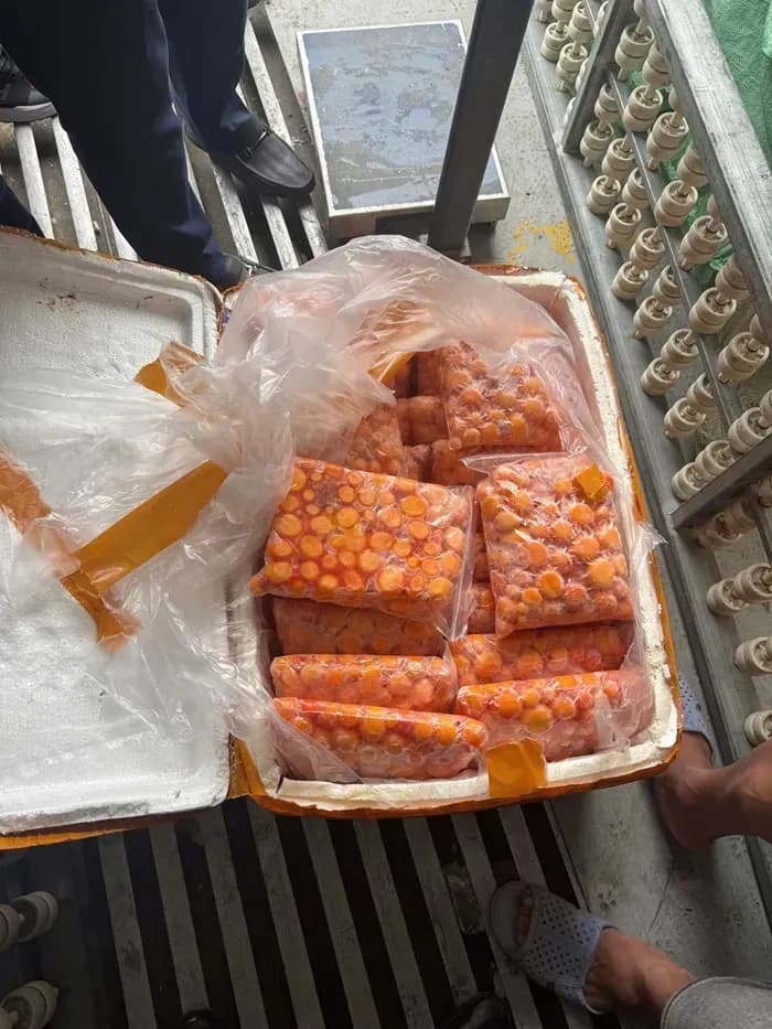 Hà Nội phát hiện hàng tấn sụn gà, trứng non không rõ nguồn gốc 