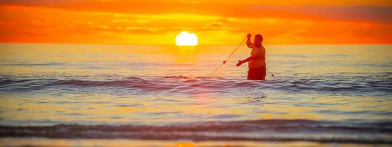 New Zealand cảnh báo vùng biển đang nóng dần